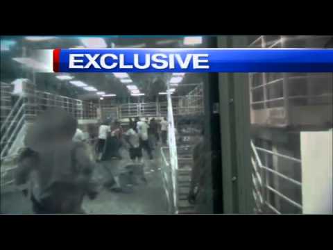 Wild Gang Brawl On Rikers Island Over A Grilled Cheese Sandwich! (Went On For Nearly An Hour)