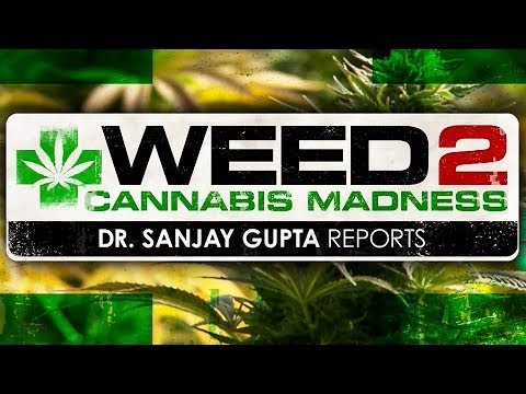 WEED 2 – Cannabis Madness – Dr. Sanjay Gupta Reports (Full HD 1080p – 2014 CNN Documentary)
